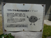P1130261