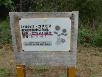 P1140768