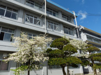P1160610