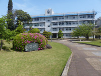 P1160785