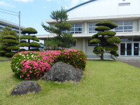 P1160981