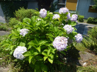 P1170302