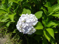 P1170303